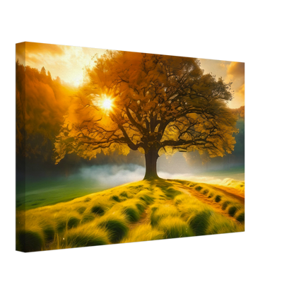 Canvas : tree